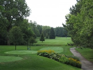 Lush golf course landscape featuring manicured greens, colorful flowers, and tree-lined fairways under an overcast sky. Ideal for golfing enthusiasts.