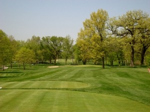 Lush green golf course landscape featuring well-manicured fairways and trees under a clear sky, ideal for outdoor sports and recreation.