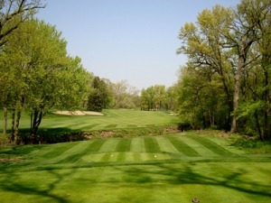 Lush green golf course fairway framed by trees, showcasing a manicured landscape ideal for golfing. Perfect for showcasing course design.