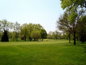 Lush green golf course with well-maintained fairways and trees lining the landscape, ideal for recreational sports and outdoor activities.