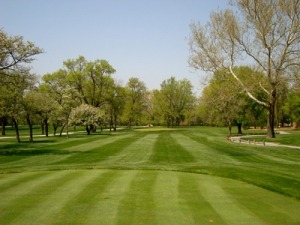 Lush green golf course with manicured fairways and trees lining the sides, set against a clear blue sky. Ideal for outdoor leisure and sports.