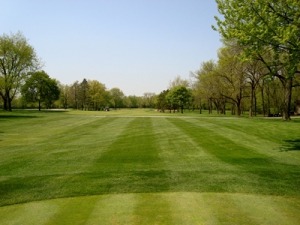 Lush green golf course fairway viewed on a clear day, showcasing well-maintained grass and trees lining the edges. Ideal for golfing enthusiasts.