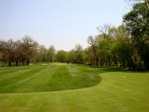 Lush green fairway of a golf course lined with trees, featuring a clear sky and manicured grass, inviting for a round of golf.