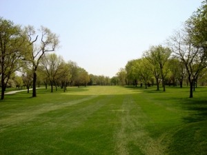 Lush green golf course fairway lined with trees under a clear blue sky, illustrating an inviting outdoor recreational space.