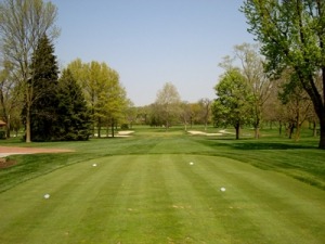 Golf course view from the tee box, featuring freshly mowed grass, trees lining the fairway, and a clear blue sky, ideal for a sunny day of golf.
