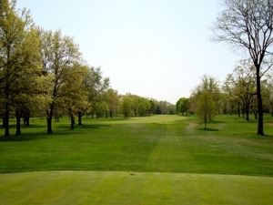 Lush golf course fairway lined with trees, showcasing a clear sky and well-maintained grass, ideal for outdoor recreation and golfing.