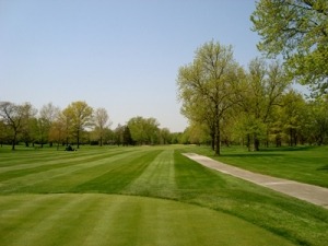Lush green golf course with well-maintained fairways and trees under a clear blue sky, showcasing a serene outdoor landscape for golfers.