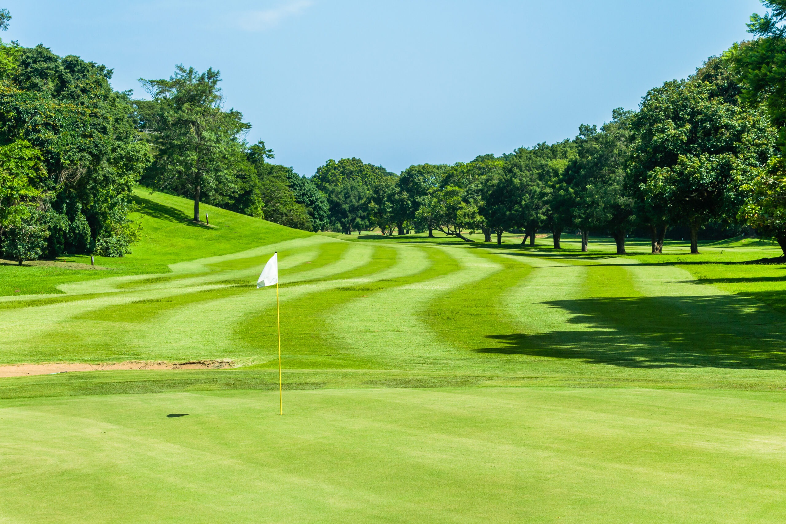 Golf course green flagstick hole fairway trees scenic nature reserve coastal course